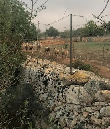 Mia Limon * אלגידה
